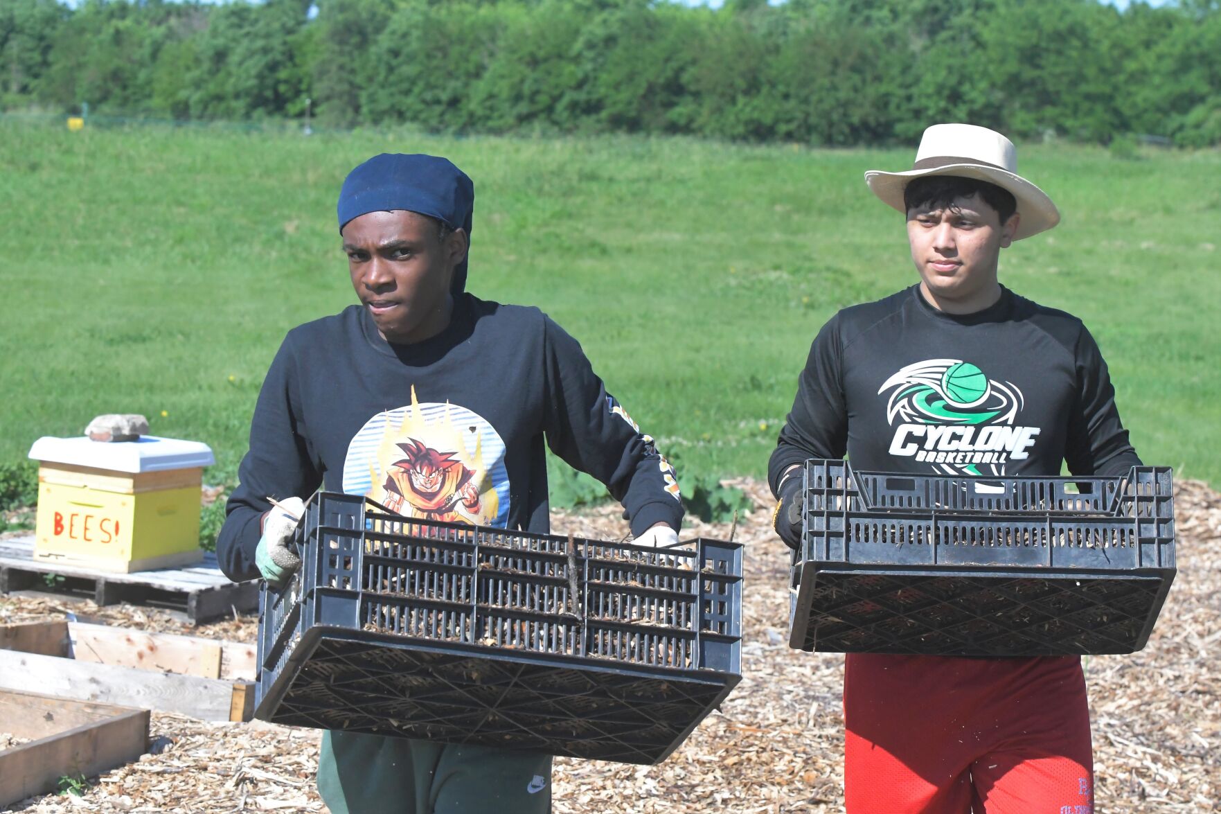 Sunnyside Community Garden and Food Forest